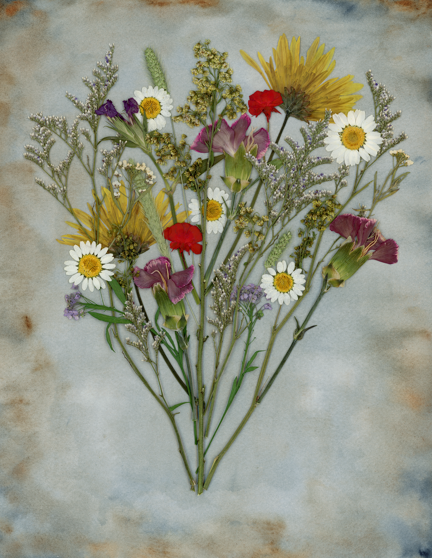 Pressed Flowers | Wildflower Bouquet Print