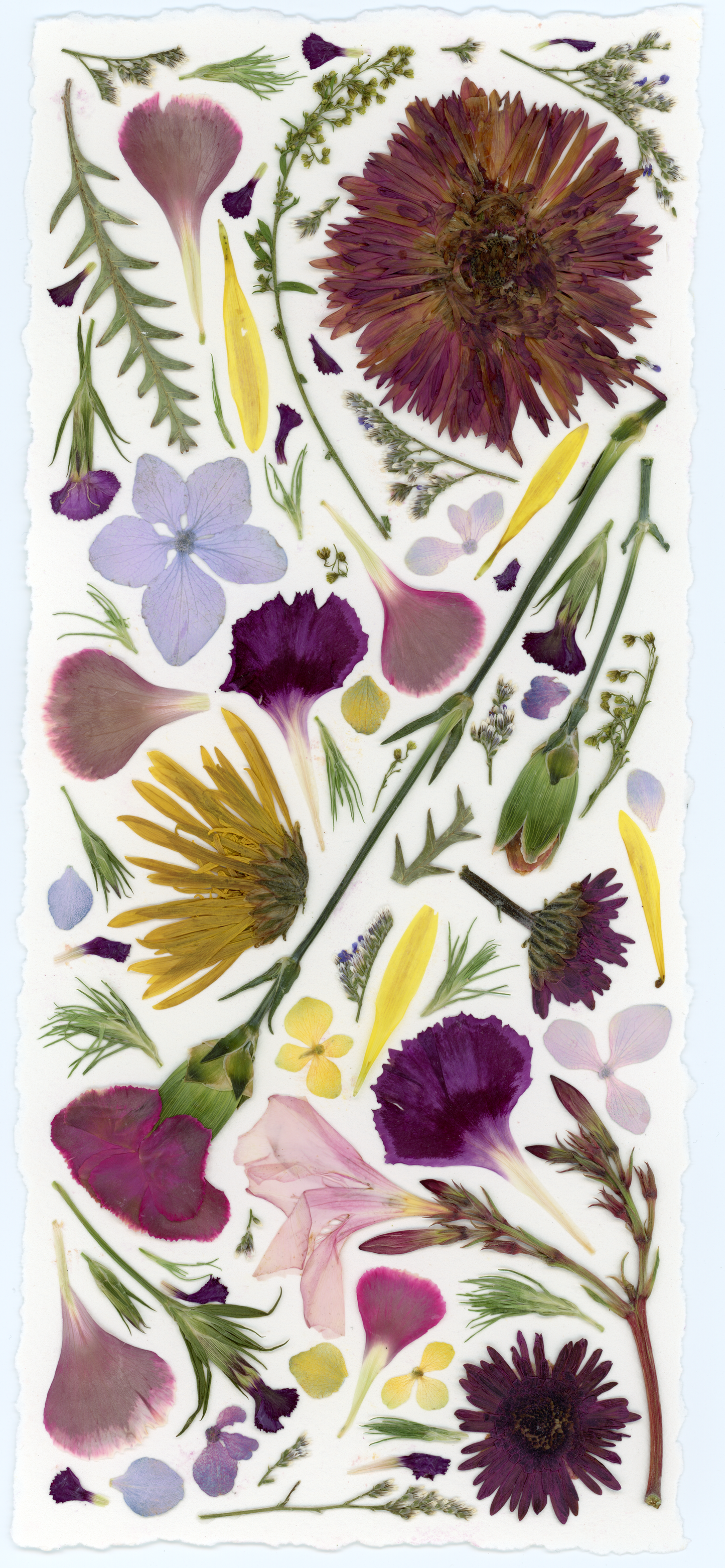 Pressed Flowers | Abstract Composition Print