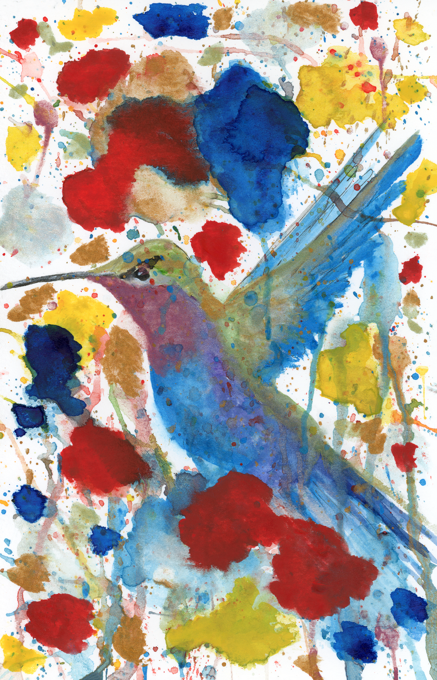 Colorful Hummingbird Print