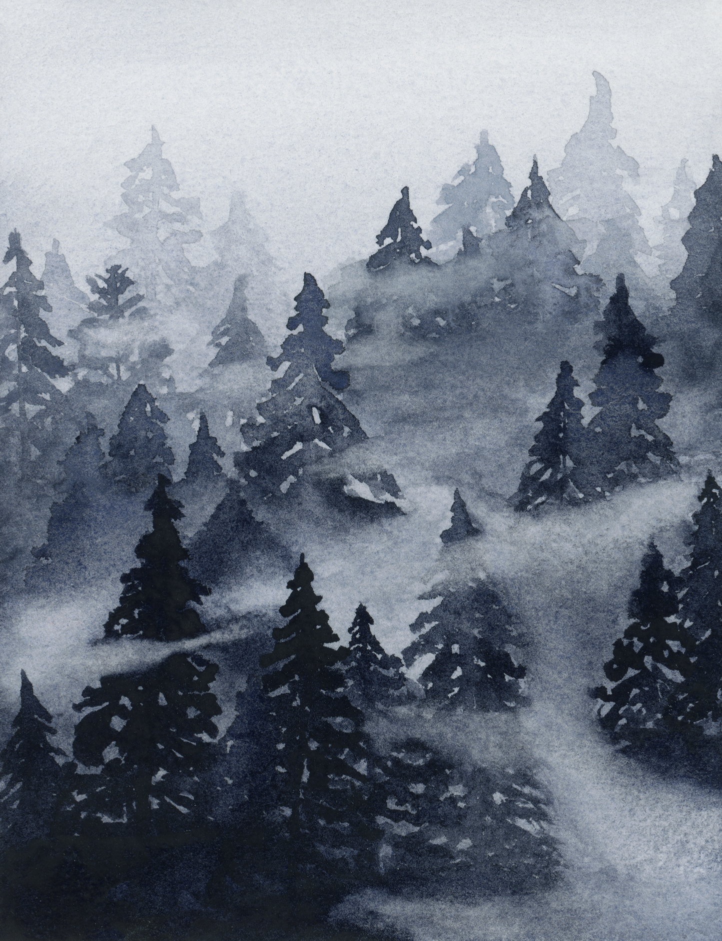 Fog Shrouded Forest Print