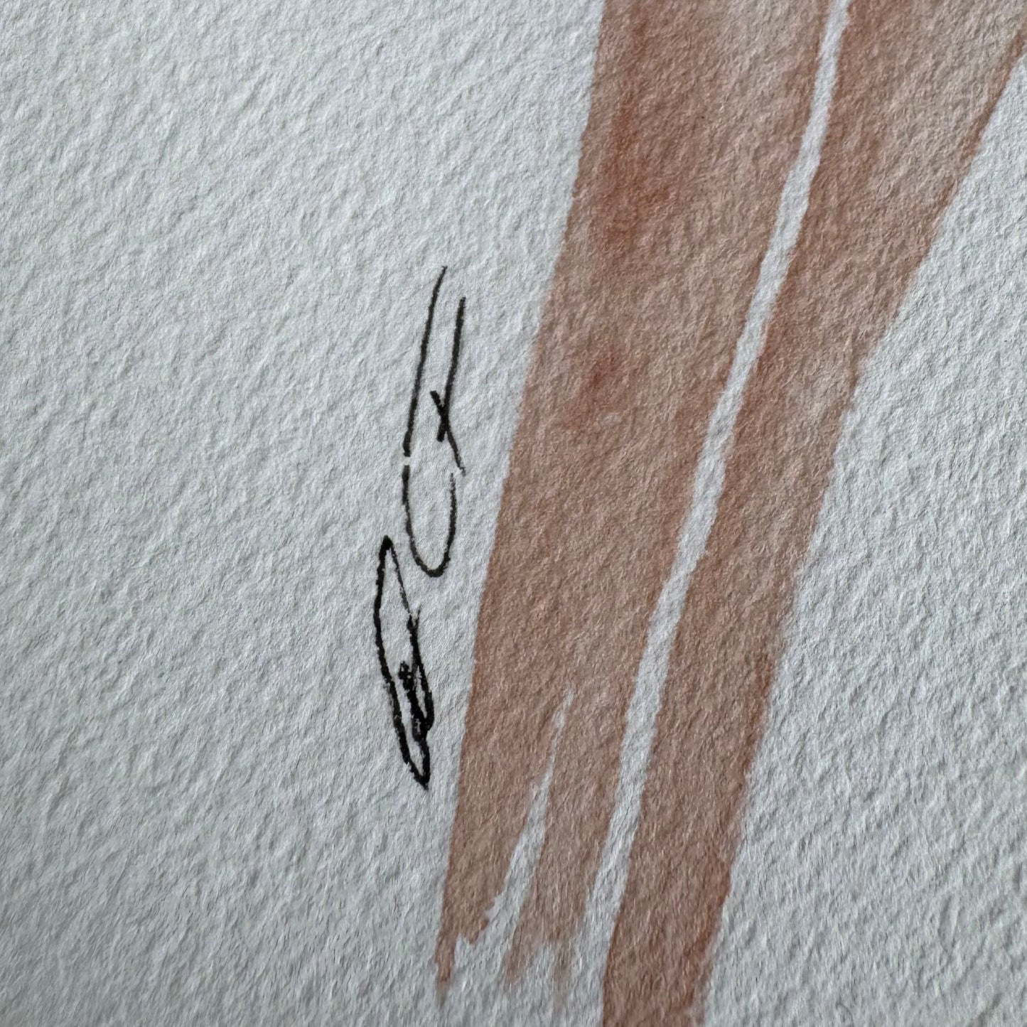 Anatomy x Nature | Brain No.1 Print