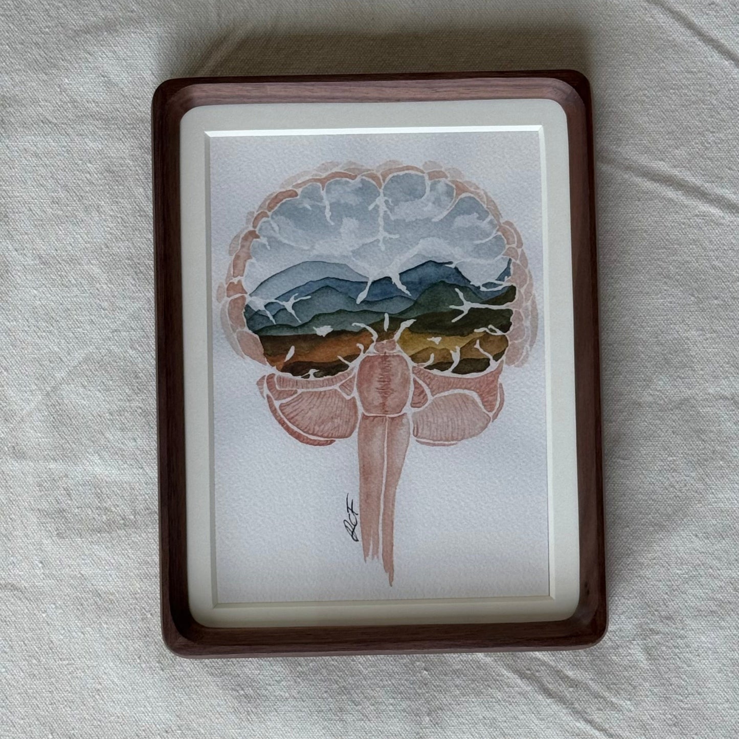 Anatomy x Nature | Brain No.1 Print