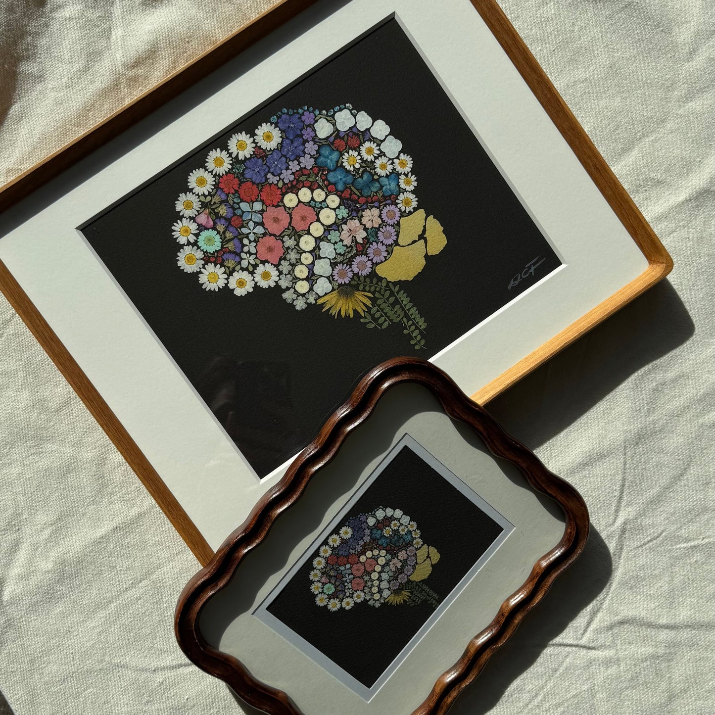 Anatomy x Nature | Pressed Flower Brain Print