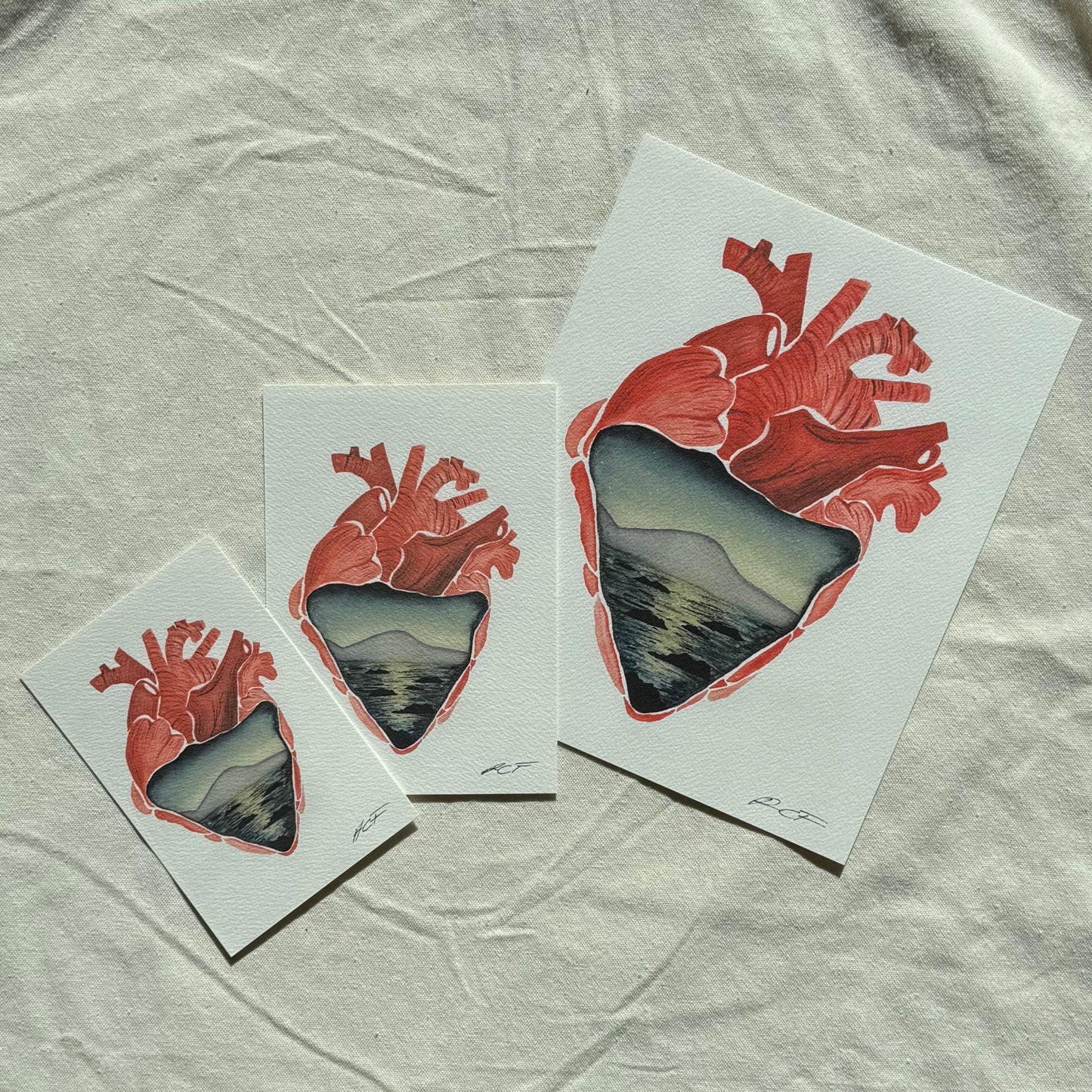 Anatomy x Nature | Heart No.1 Print