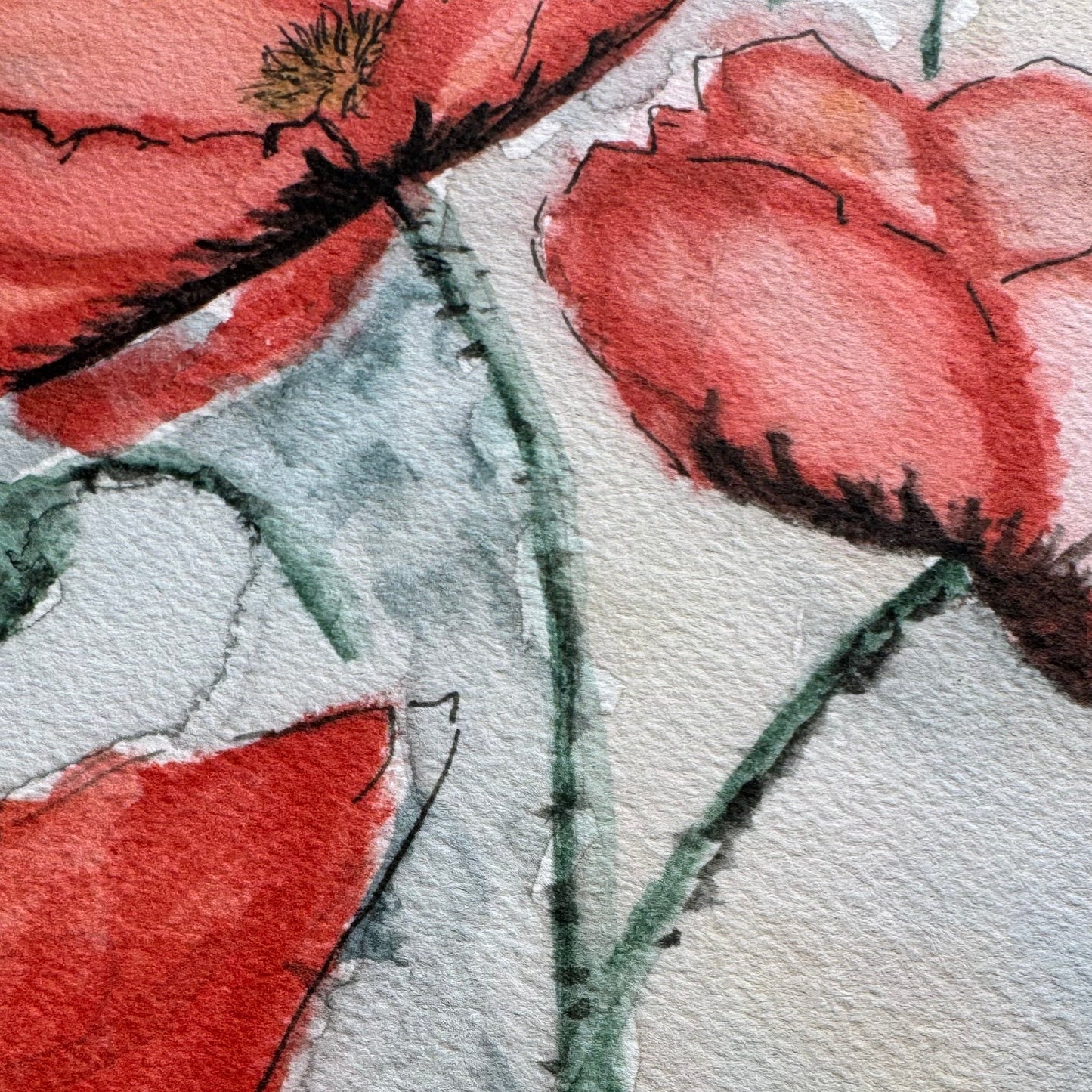Poppies Print
