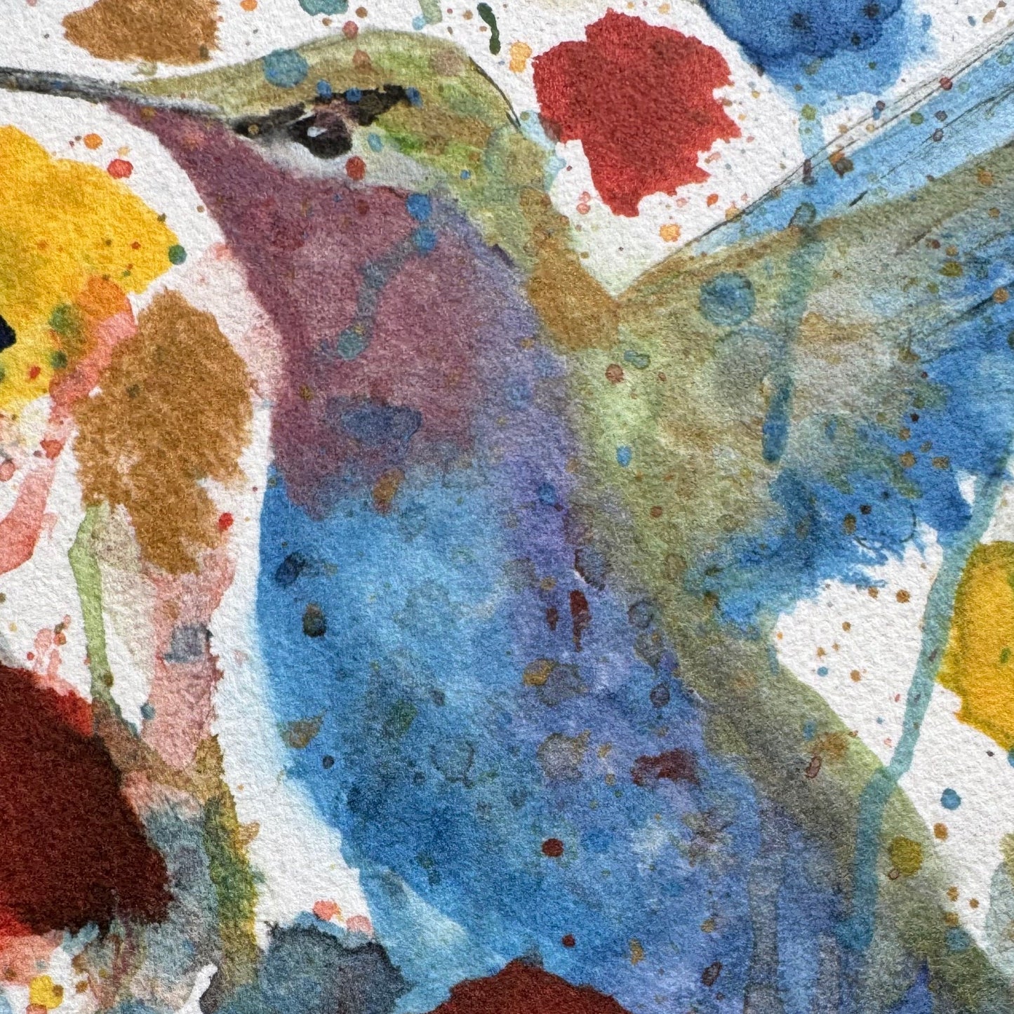 Colorful Hummingbird Print