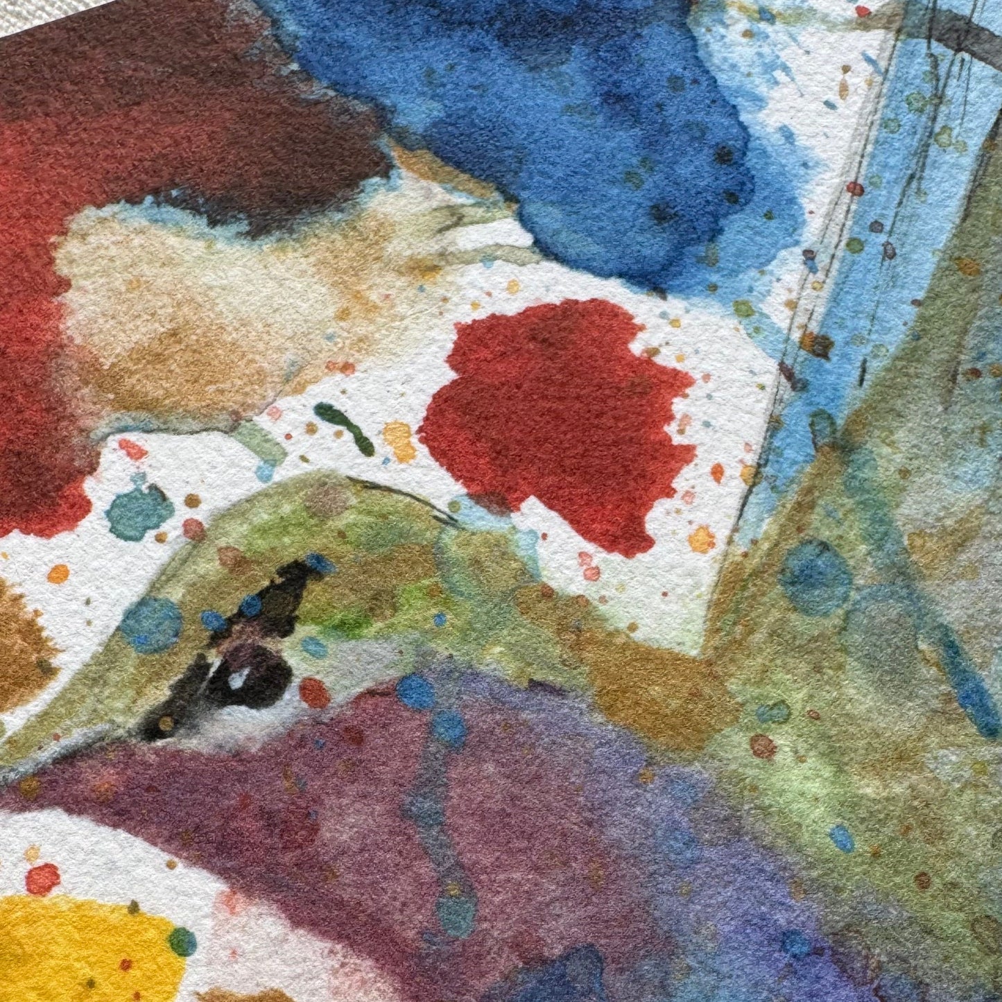 Colorful Hummingbird Print