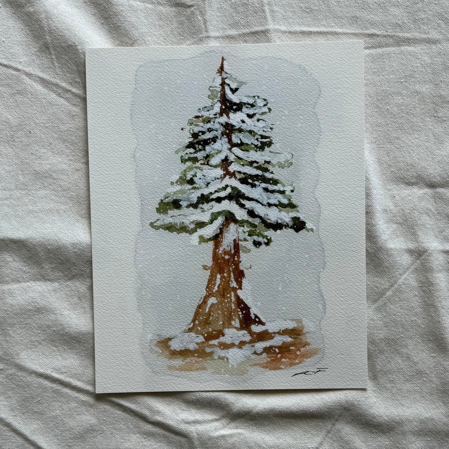 Winter Sequoia Print