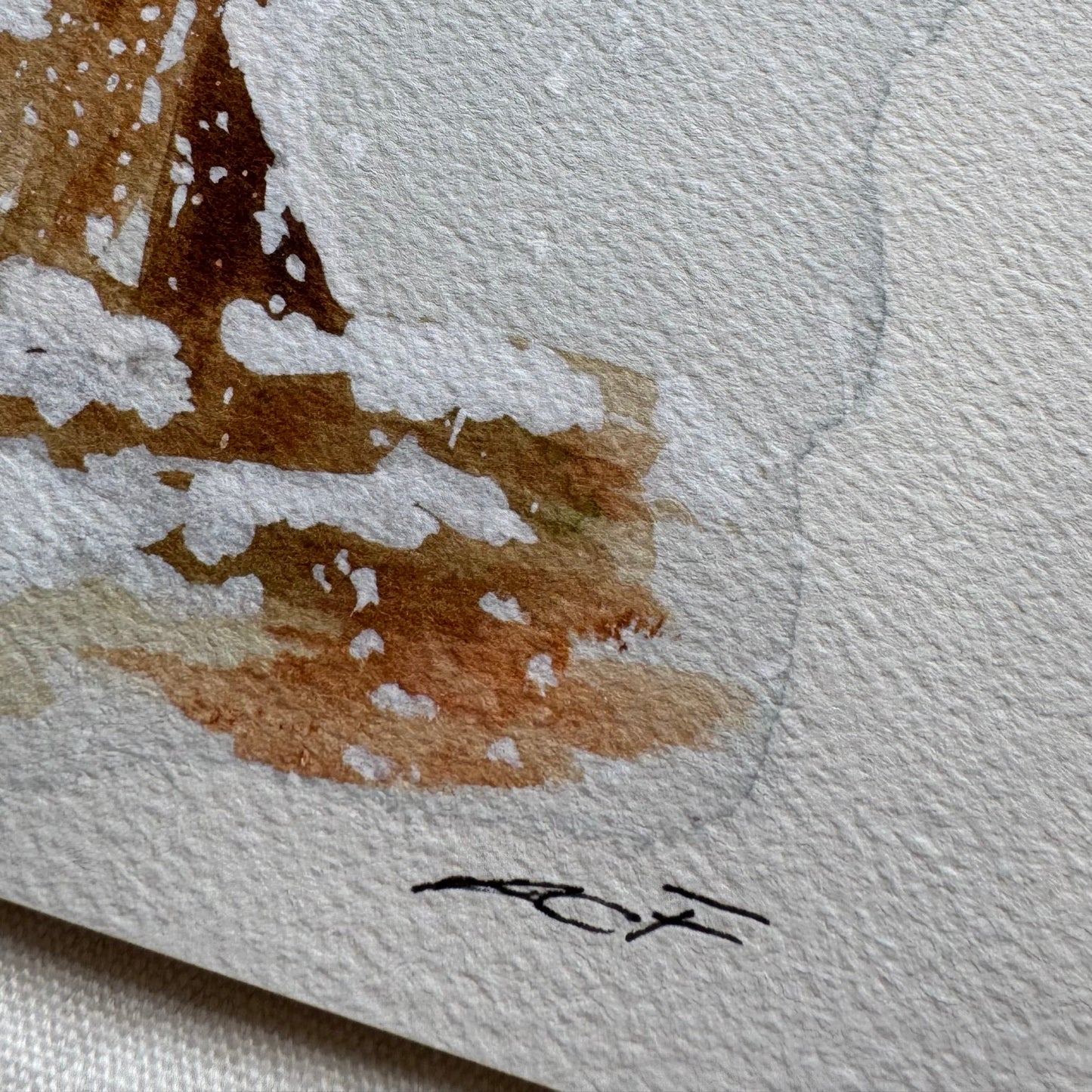 Winter Sequoia Print