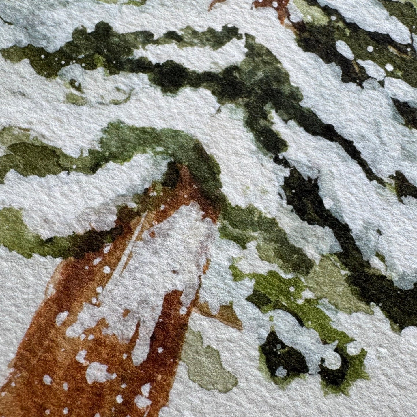 Winter Sequoia Print