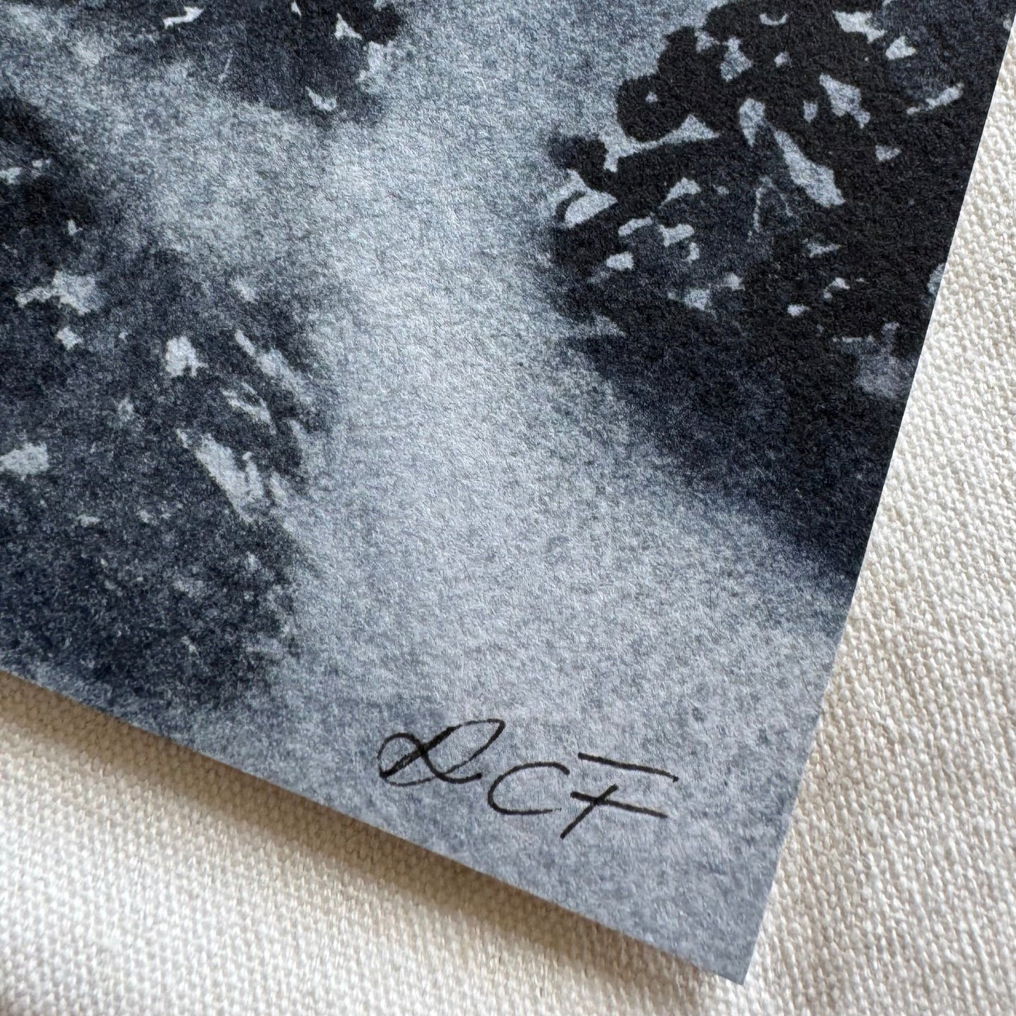 Fog Shrouded Forest Print