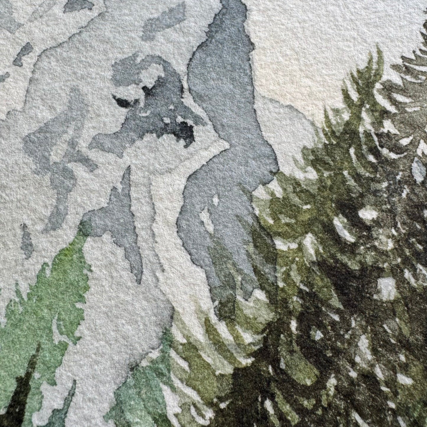 Forest Peak No. 1 Print