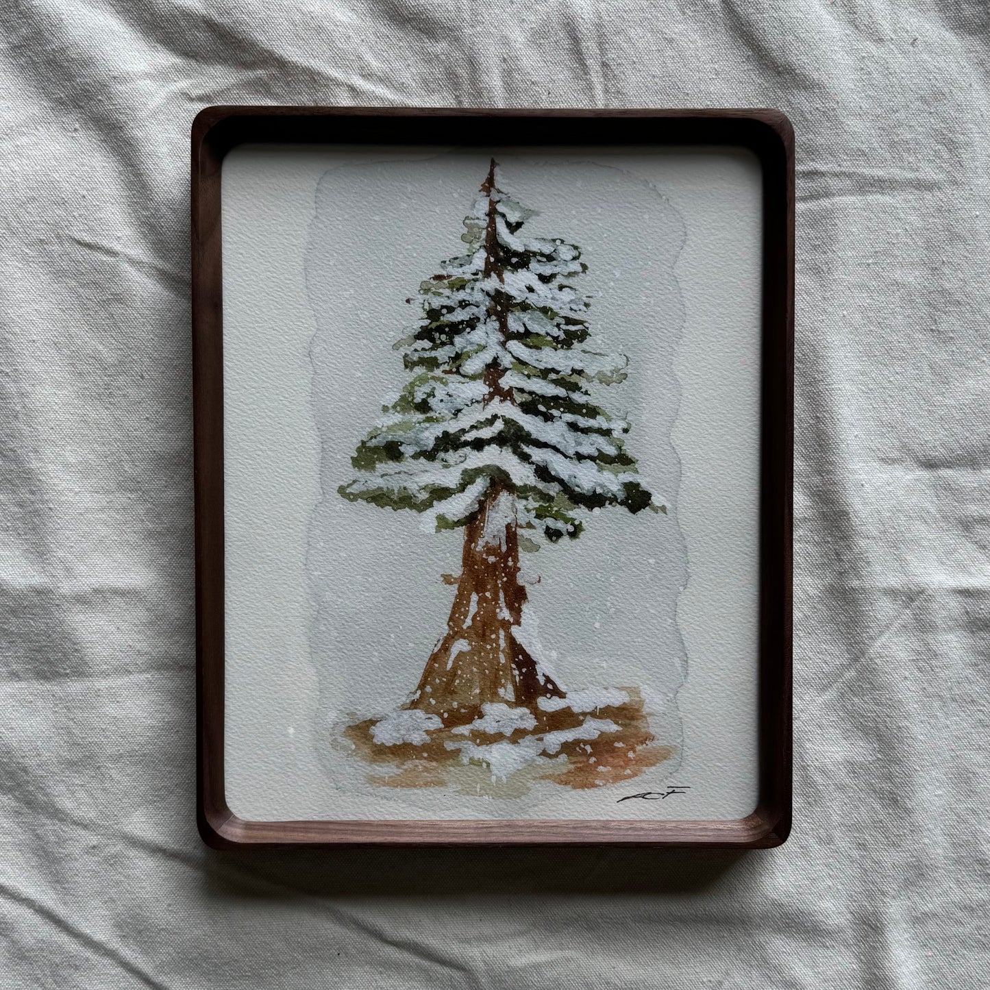 Winter Sequoia Print