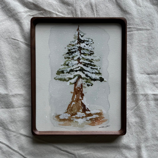 Winter Sequoia Print