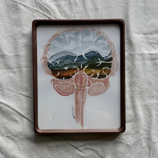 Anatomy x Nature | Brain No.1 Print