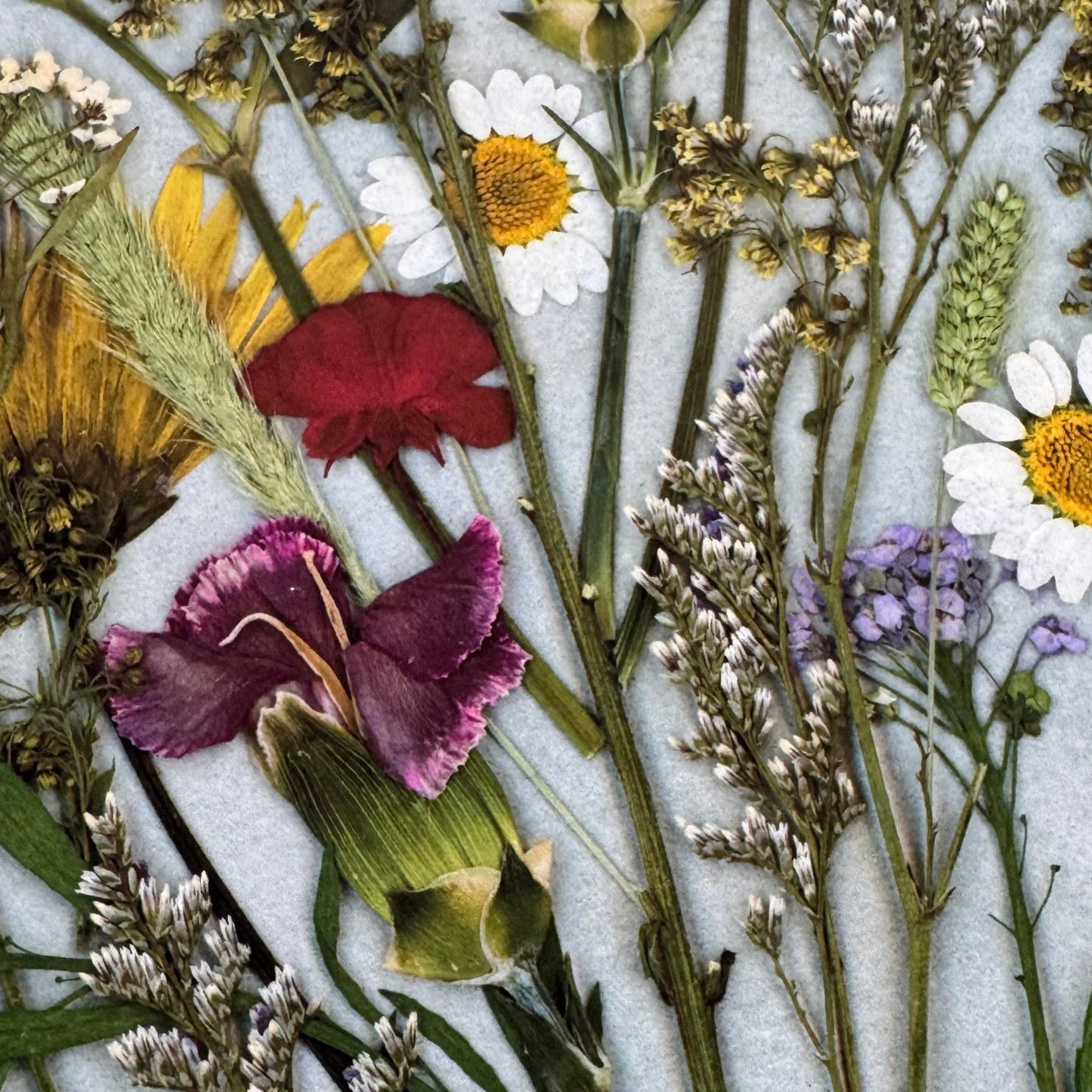 Pressed Flowers | Wildflower Bouquet Print