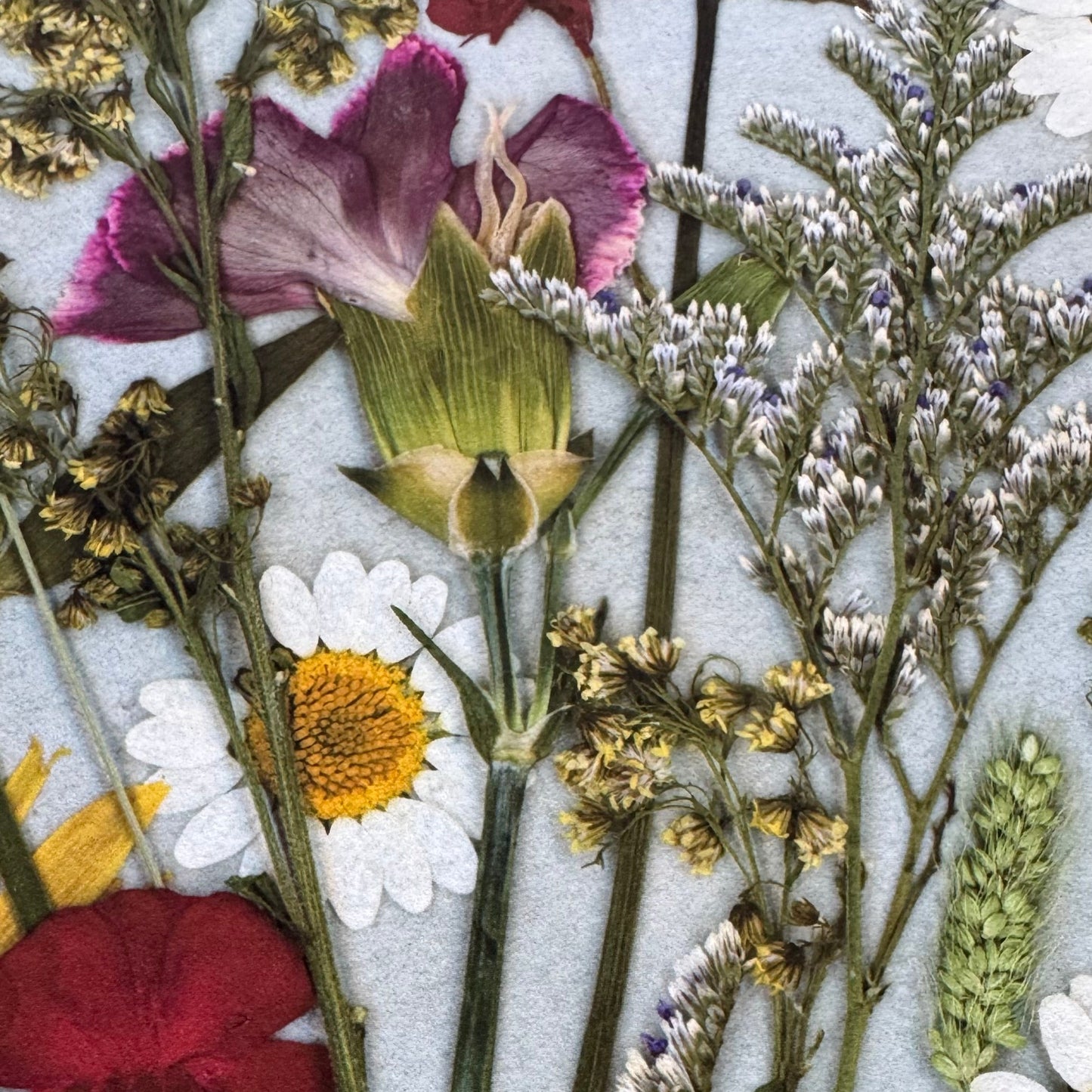 Pressed Flowers | Wildflower Bouquet Print