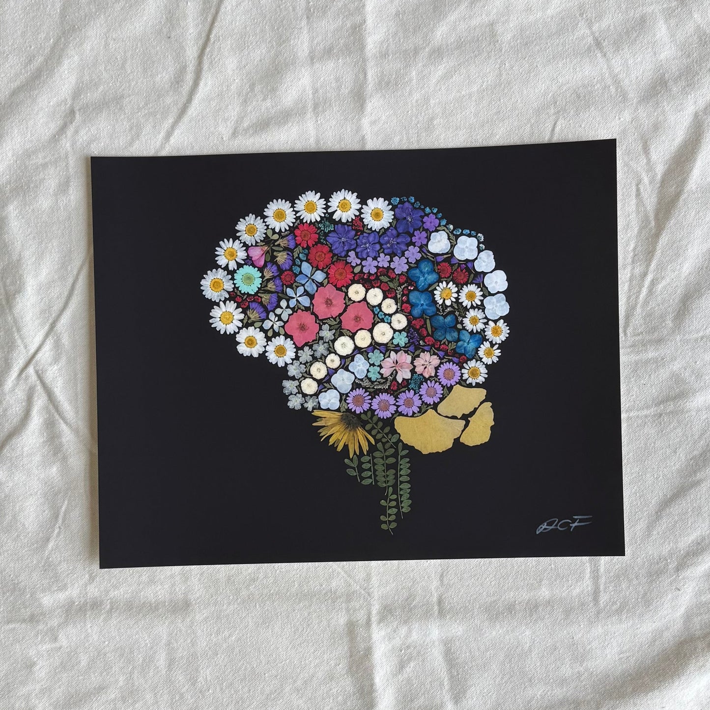Anatomy x Nature | Pressed Flower Brain Print