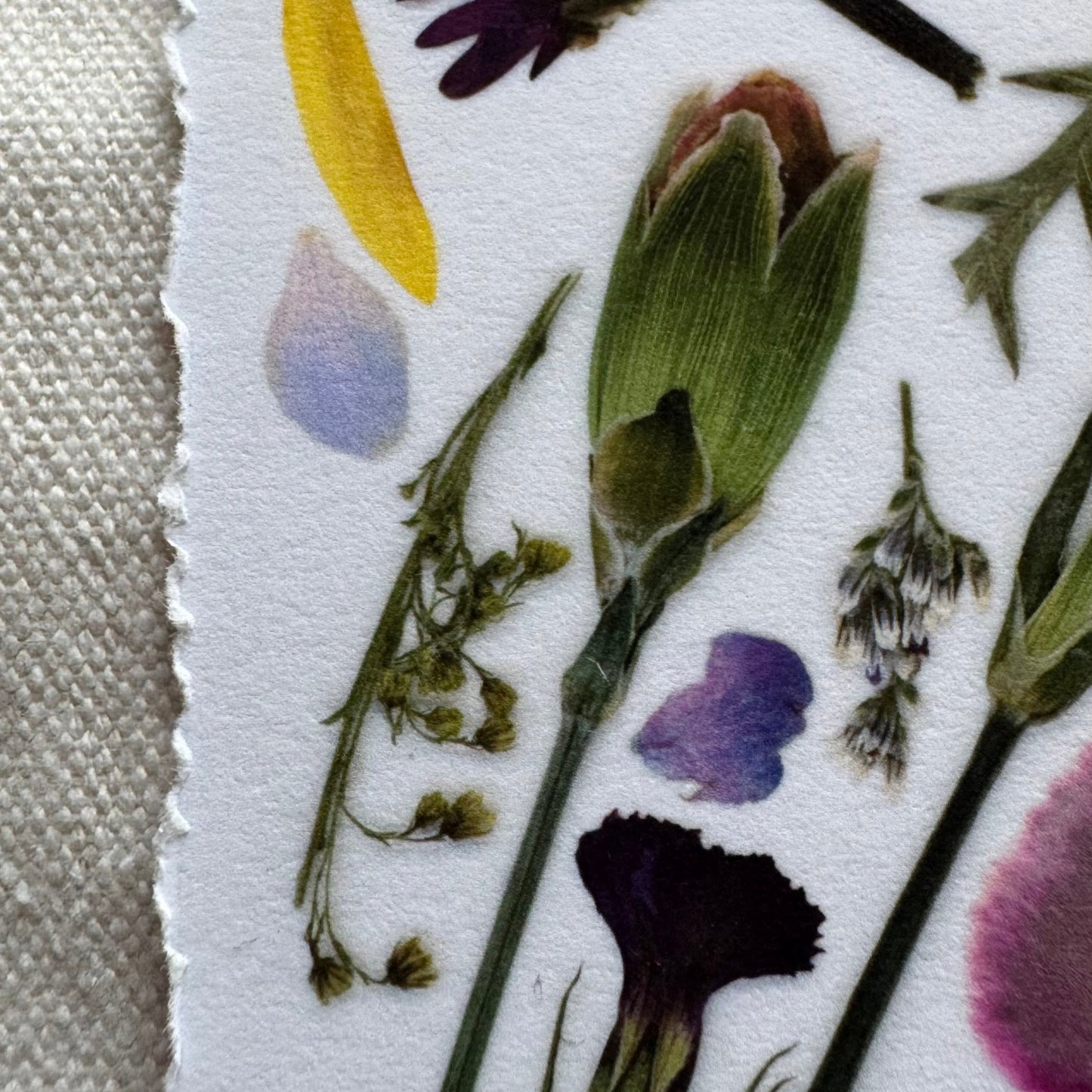 Pressed Flowers | Abstract Composition Print