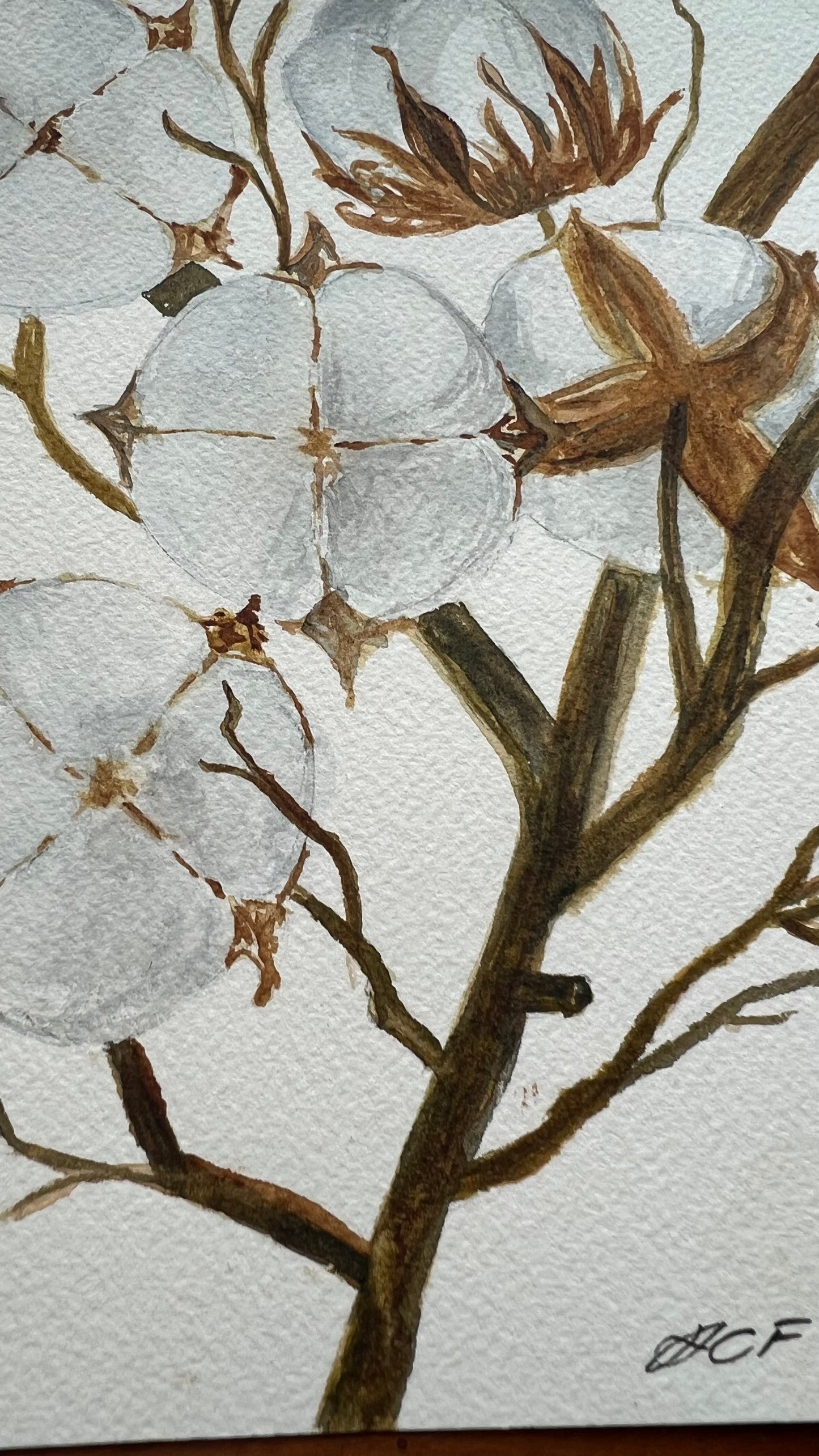 8X8", 'Cotton Tree Branch', original watercolor painting, unframed