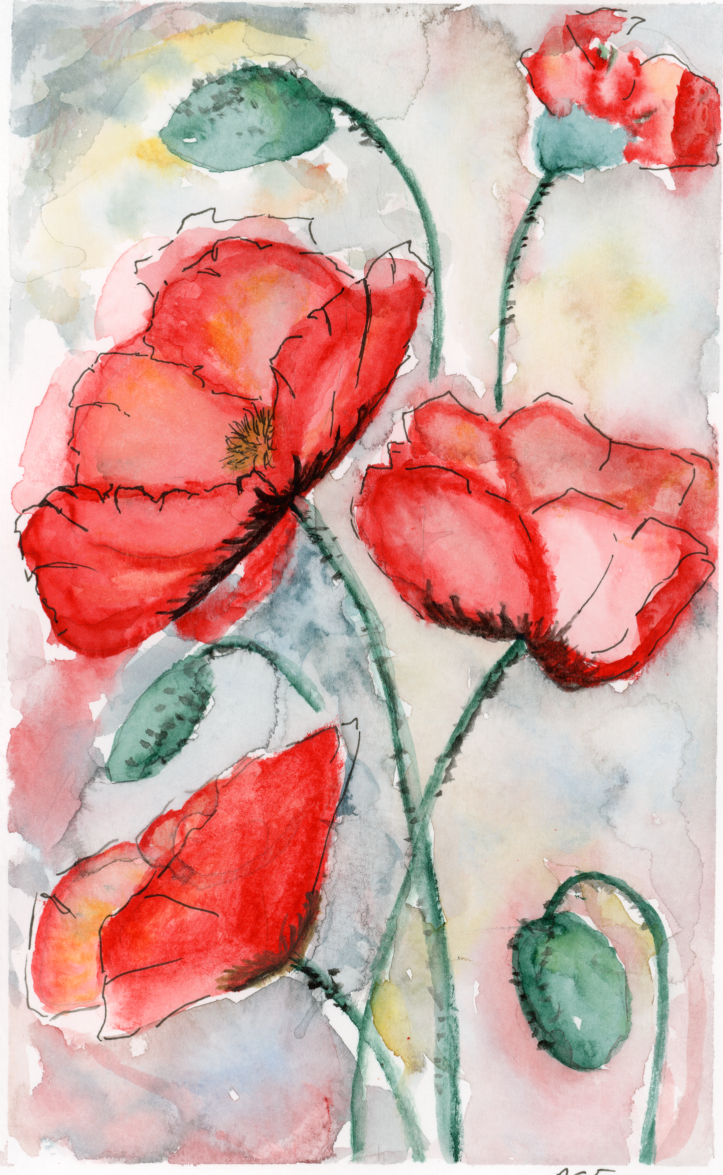 Poppies Print