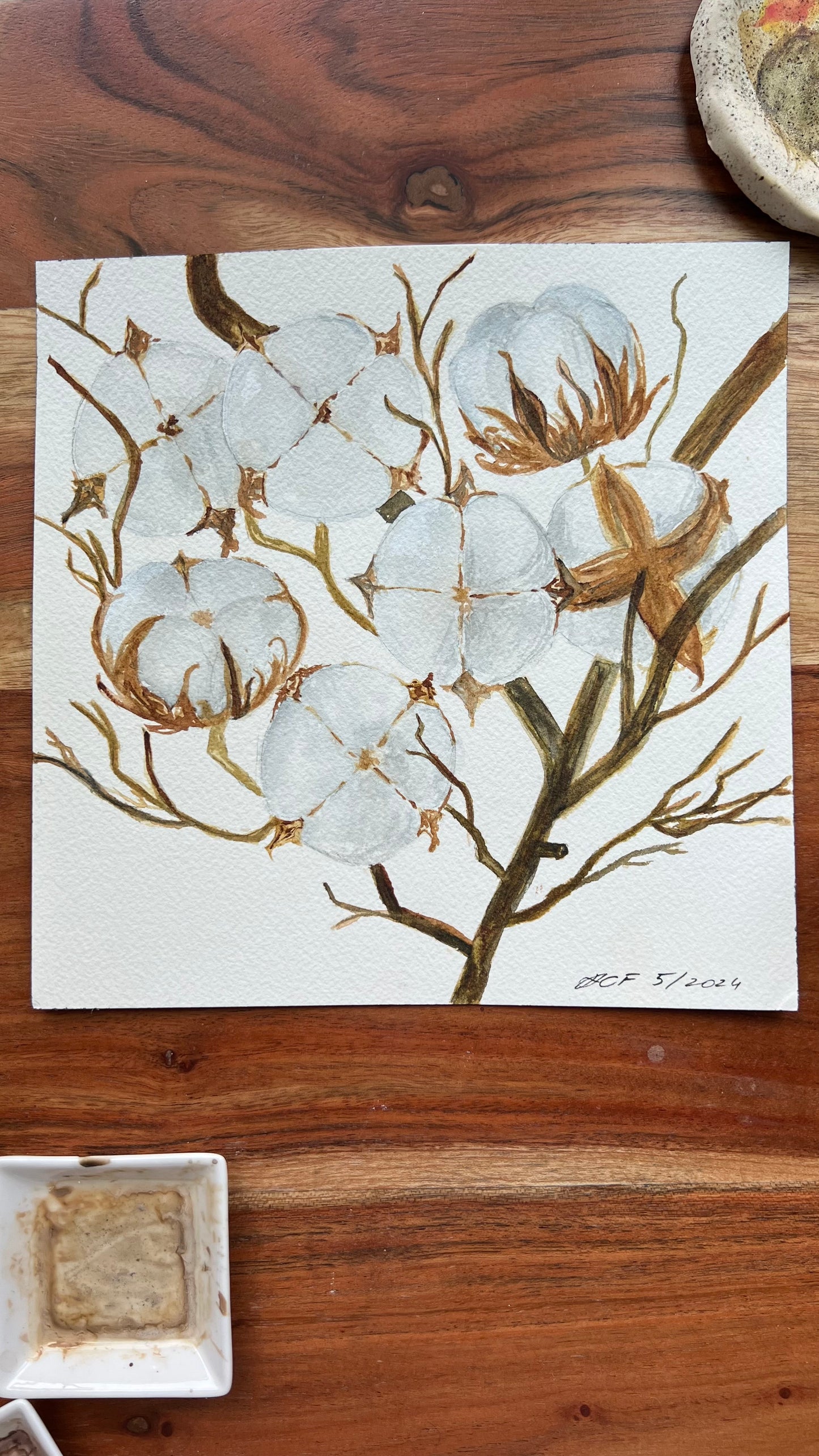 8X8", 'Cotton Tree Branch', original watercolor painting, unframed